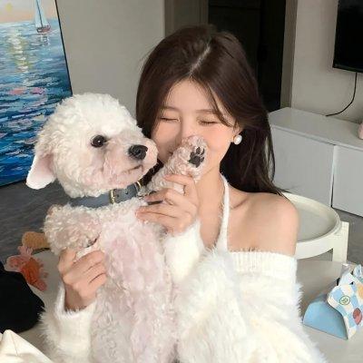 假面骑士01外传 假面骑士巴尔坎&amp;amp;瓦尔基里