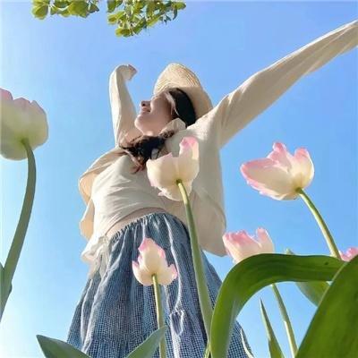 宝可梦：皮卡丘和可可的冒险